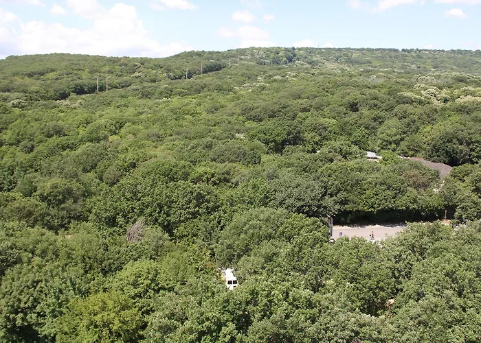 酒店 Apollo - , Indoor & Outdoor Pools & Individual Ac In Every 4*