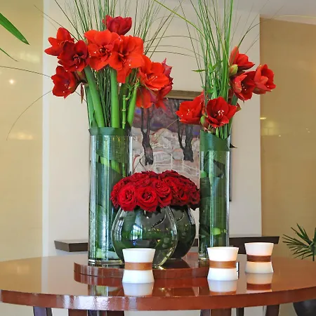 Apollo - , Indoor & Outdoor Pools & Individual Ac In Every מלון גולדן סנדס